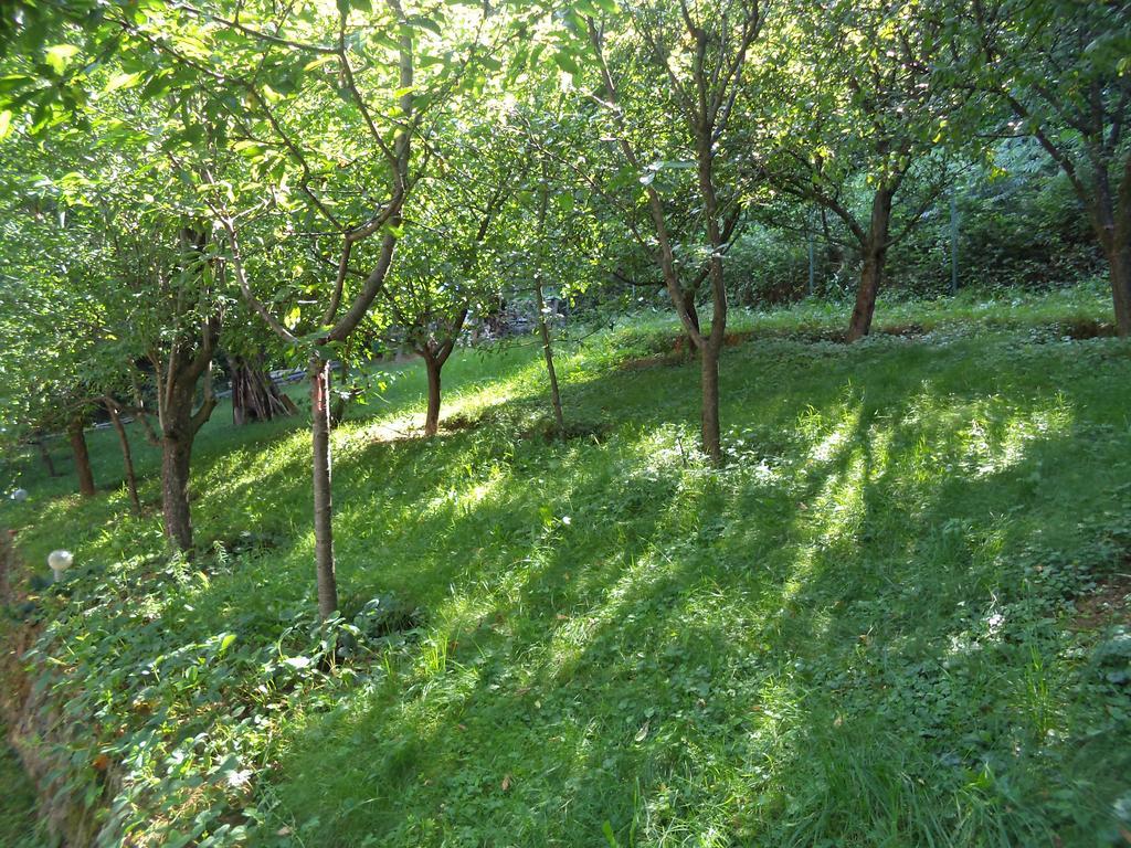 Villa Aqua Pravec Kültér fotó