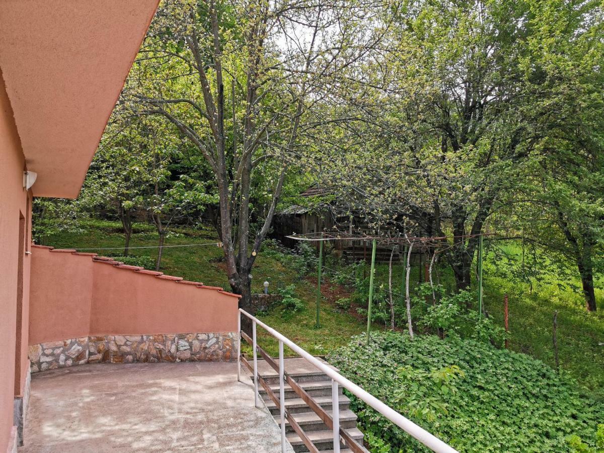 Villa Aqua Pravec Kültér fotó