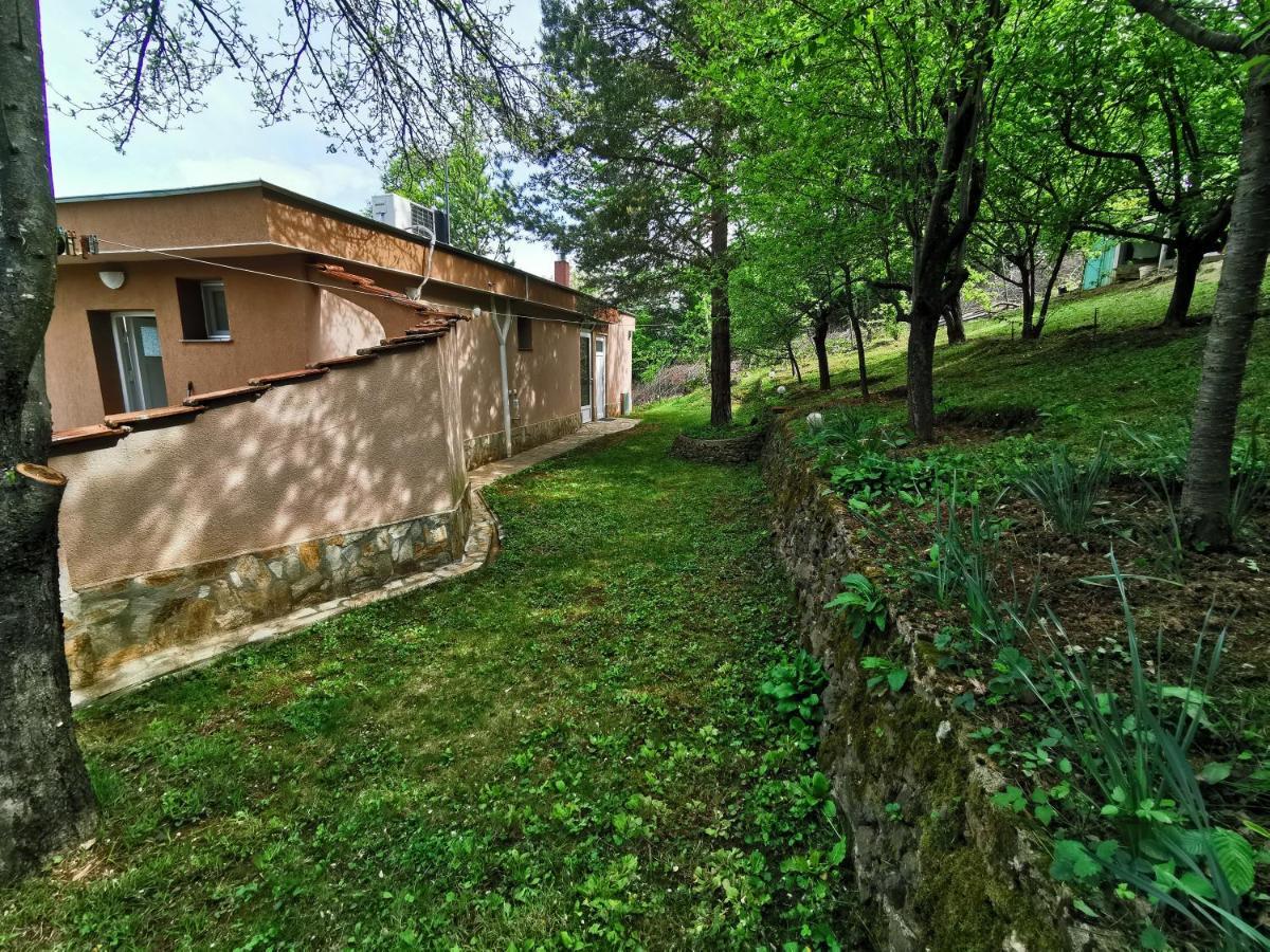 Villa Aqua Pravec Kültér fotó