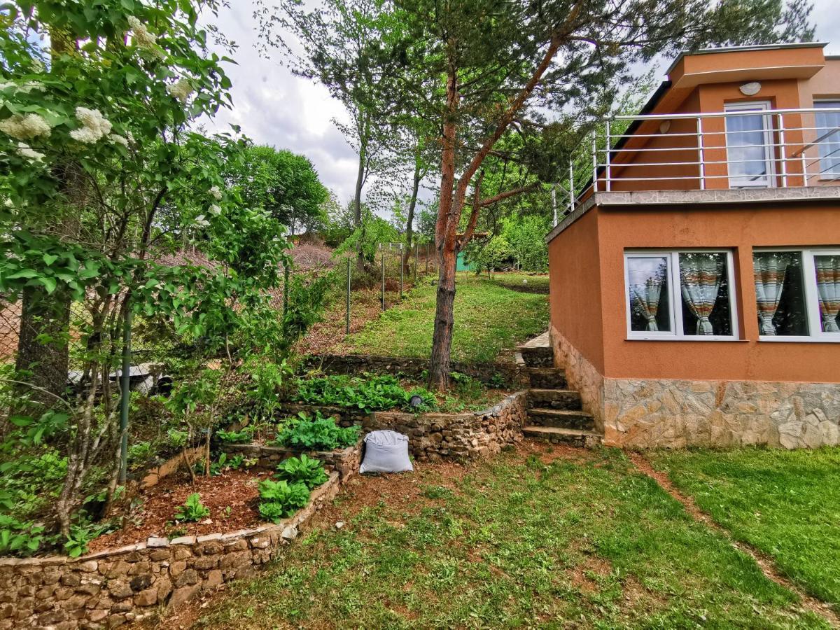 Villa Aqua Pravec Kültér fotó