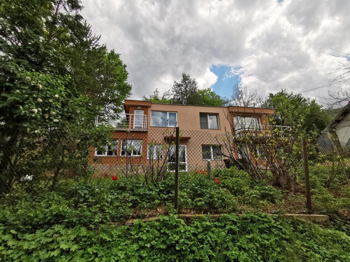 Villa Aqua Pravec Kültér fotó